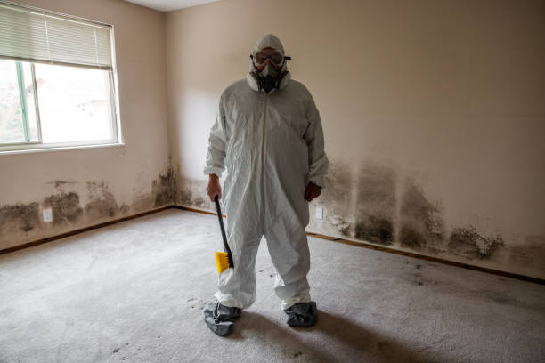 Best Water Damage & Mold Remediation  in Groesbeck, TX